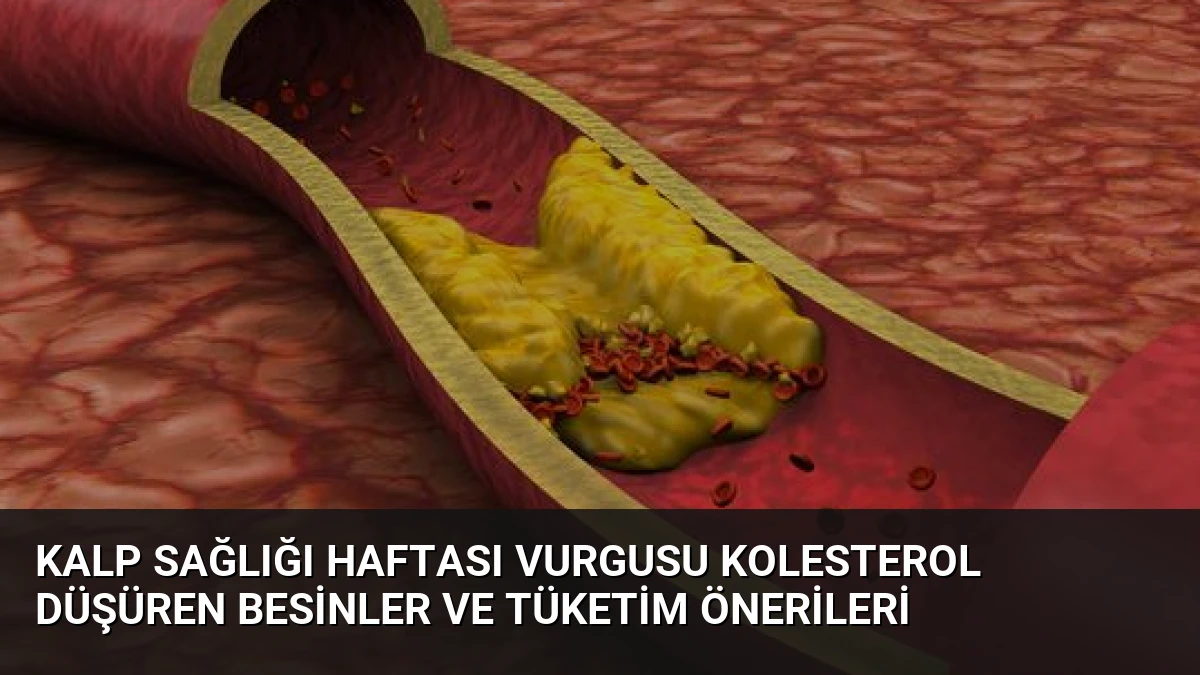 Kalp Sağlığı Haftası Vurgusu Kolesterol Düşüren Besinler ve Tüketim Önerileri