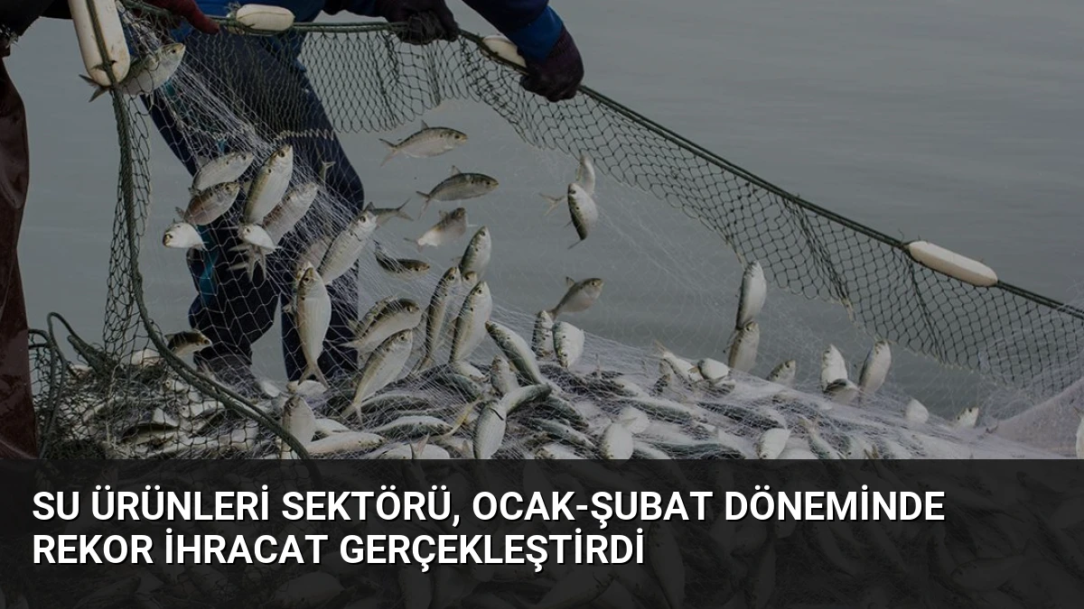 Su ürünleri sektörü, ocak-şubat döneminde rekor ihracat gerçekleştirdi