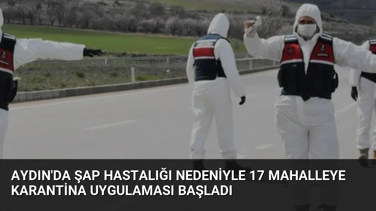 Aydın’da Şap Hastalığı Nedeniyle 17 Mahalleye Karantina Uygulaması Başladı