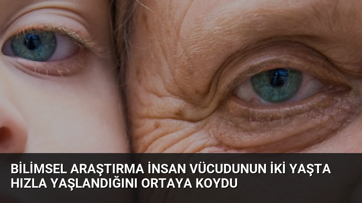 Bilimsel Araştırma İnsan Vücudunun İki Yaşta Hızla Yaşlandığını Ortaya Koydu
