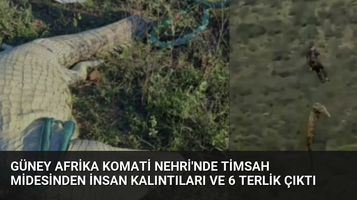 Güney Afrika Komati Nehri’nde Timsah Midesinden İnsan Kalıntıları ve 6 Terlik Çıktı