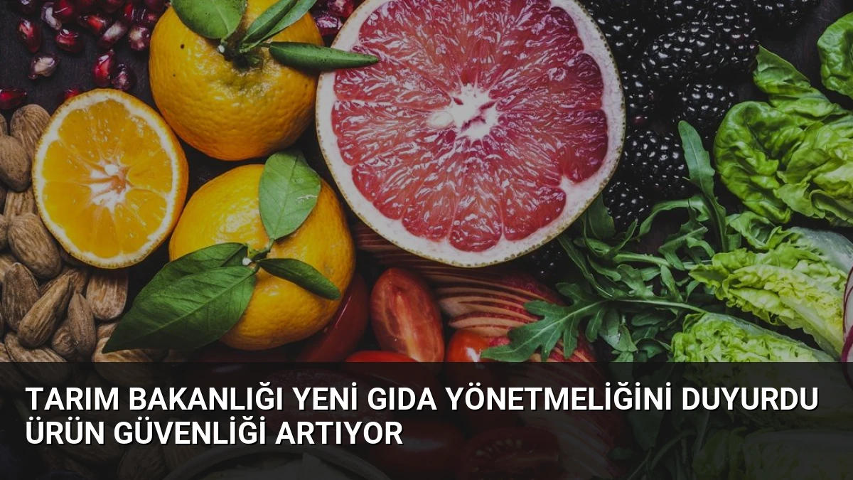 Tarım Bakanlığı Yeni Gıda Yönetmeliğini Duyurdu Ürün Güvenliği Artıyor
