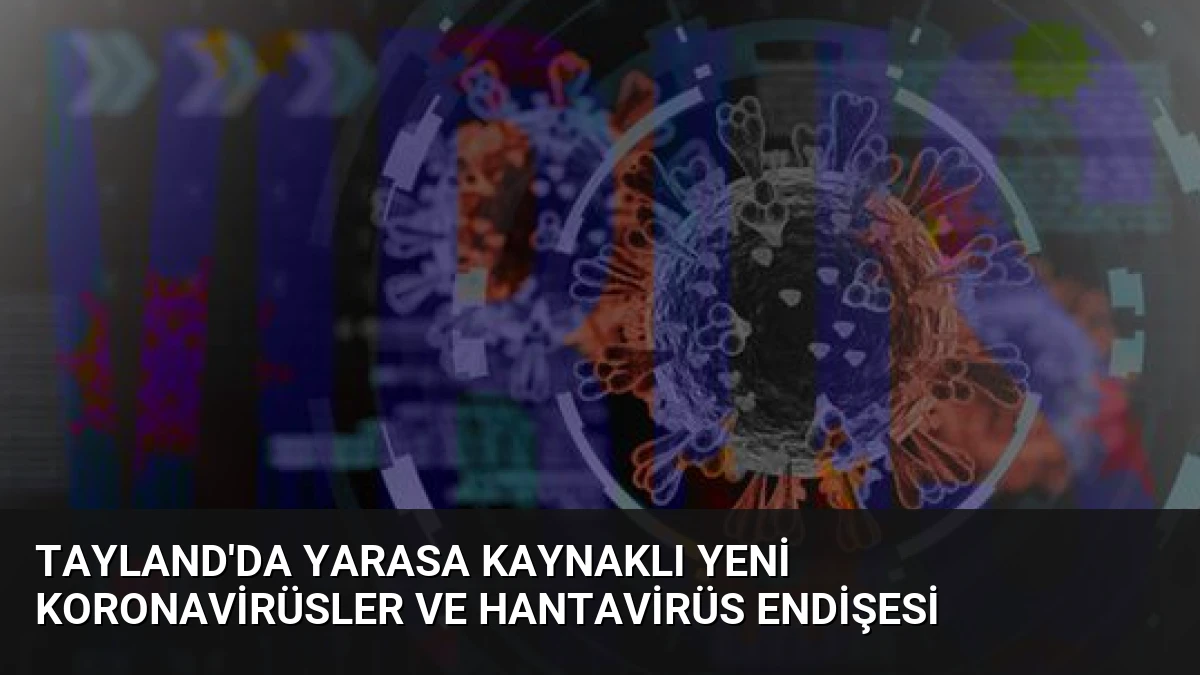 Tayland’da Yarasa Kaynaklı Yeni Koronavirüsler ve Hantavirüs Endişesi