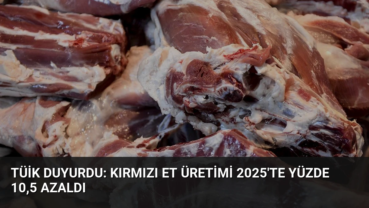 TÜİK Duyurdu: Kırmızı Et Üretimi 2025’te Yüzde 10,5 Azaldı