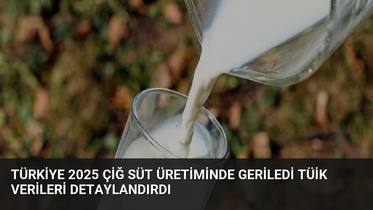 Türkiye 2025 Çiğ Süt Üretiminde Geriledi TÜİK Verileri Detaylandırdı