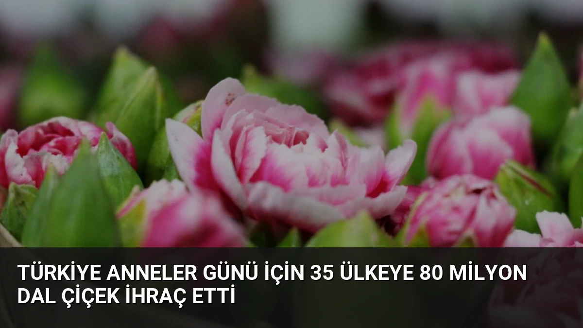 Türkiye Anneler Günü İçin 35 Ülkeye 80 Milyon Dal Çiçek İhraç Etti