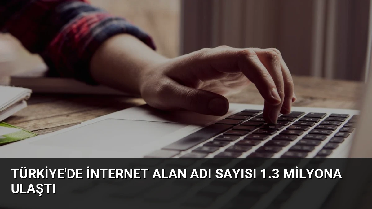 Türkiye’de İnternet Alan Adı Sayısı 1.3 Milyona Ulaştı