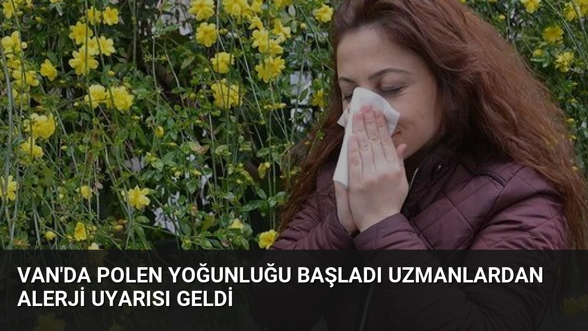 Van’da Polen Yoğunluğu Başladı Uzmanlardan Alerji Uyarısı Geldi