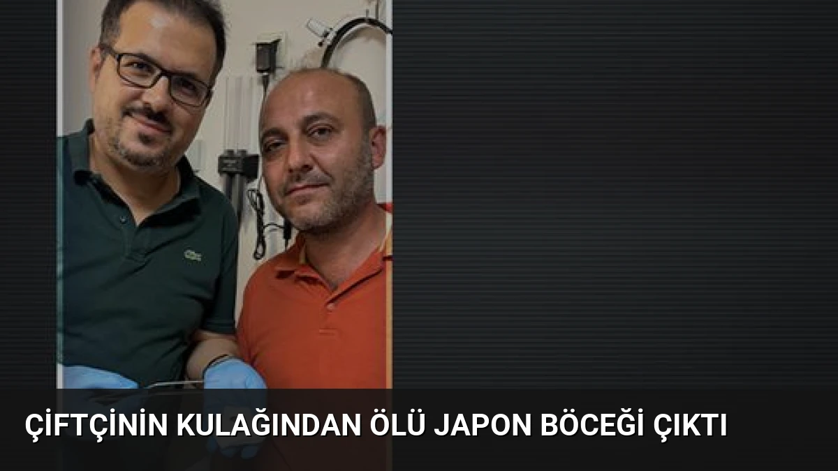Çiftçinin Kulağından Ölü Japon Böceği Çıktı