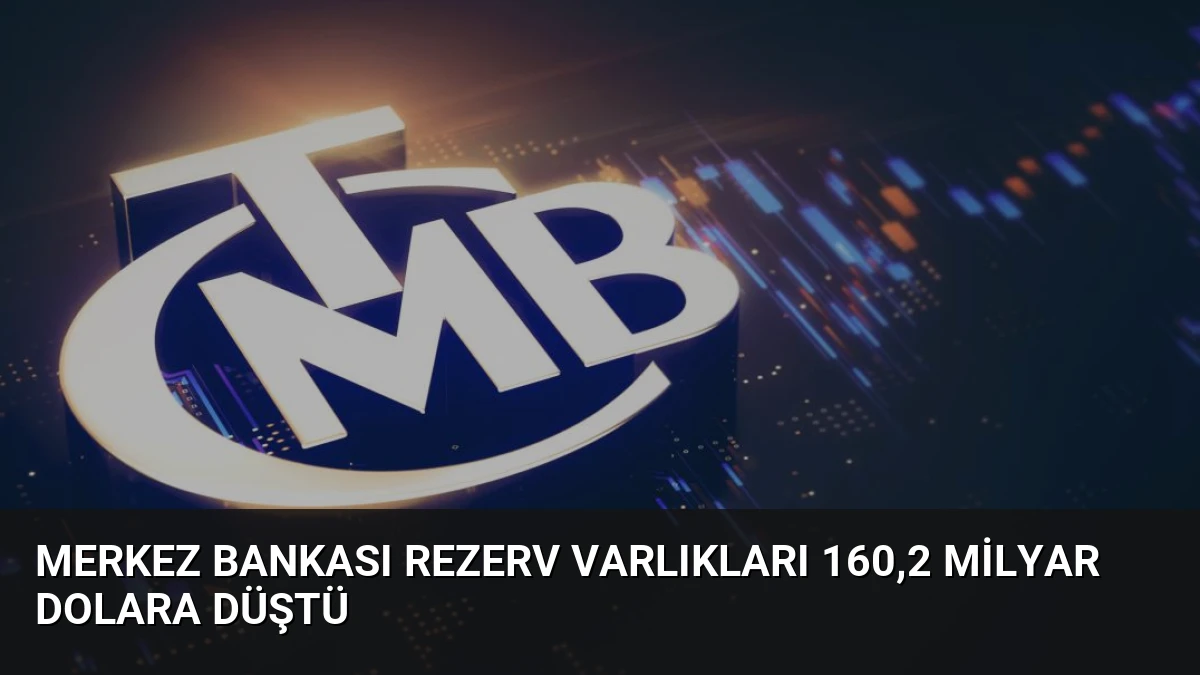 Merkez Bankası Rezerv Varlıkları 160,2 Milyar Dolara Düştü