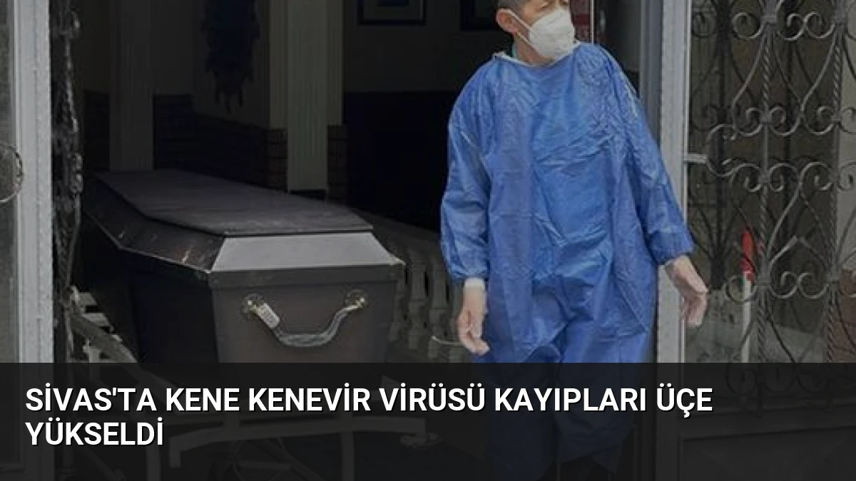 Sivas’ta Kene Kenevir Virüsü Kayıpları Üçe Yükseldi