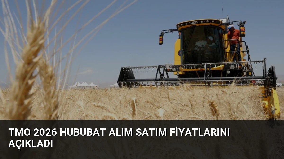 TMO 2026 Hububat Alım Satım Fiyatlarını Açıkladı