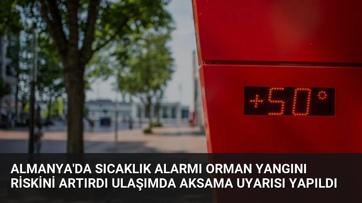 Almanya’da Sıcaklık Alarmı Orman Yangını Riskini Artırdı Ulaşımda Aksama Uyarısı Yapıldı