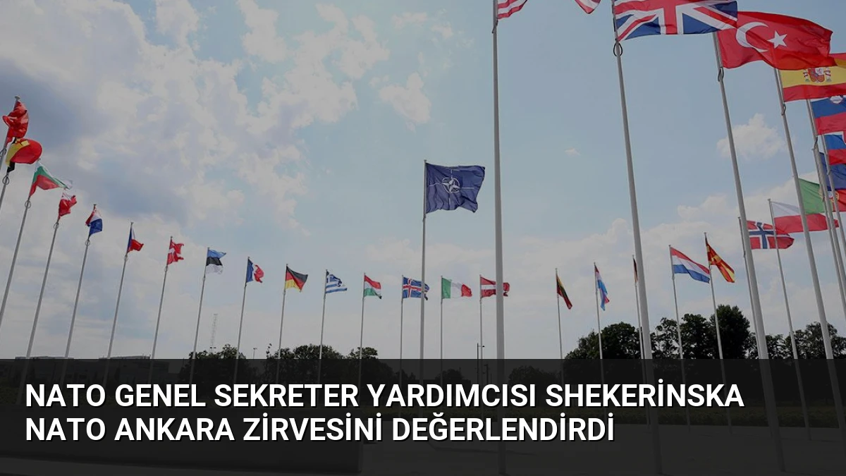 NATO Genel Sekreter Yardımcısı Shekerinska NATO Ankara Zirvesini Değerlendirdi