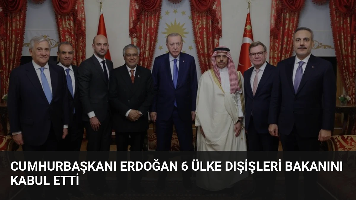 Cumhurbaşkanı Erdoğan 6 Ülke Dışişleri Bakanını Kabul Etti