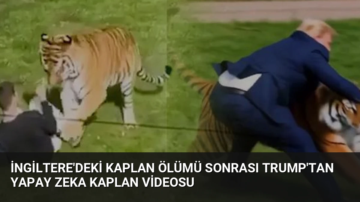 İngiltere’deki Kaplan Ölümü Sonrası Trump’tan Yapay Zeka Kaplan Videosu