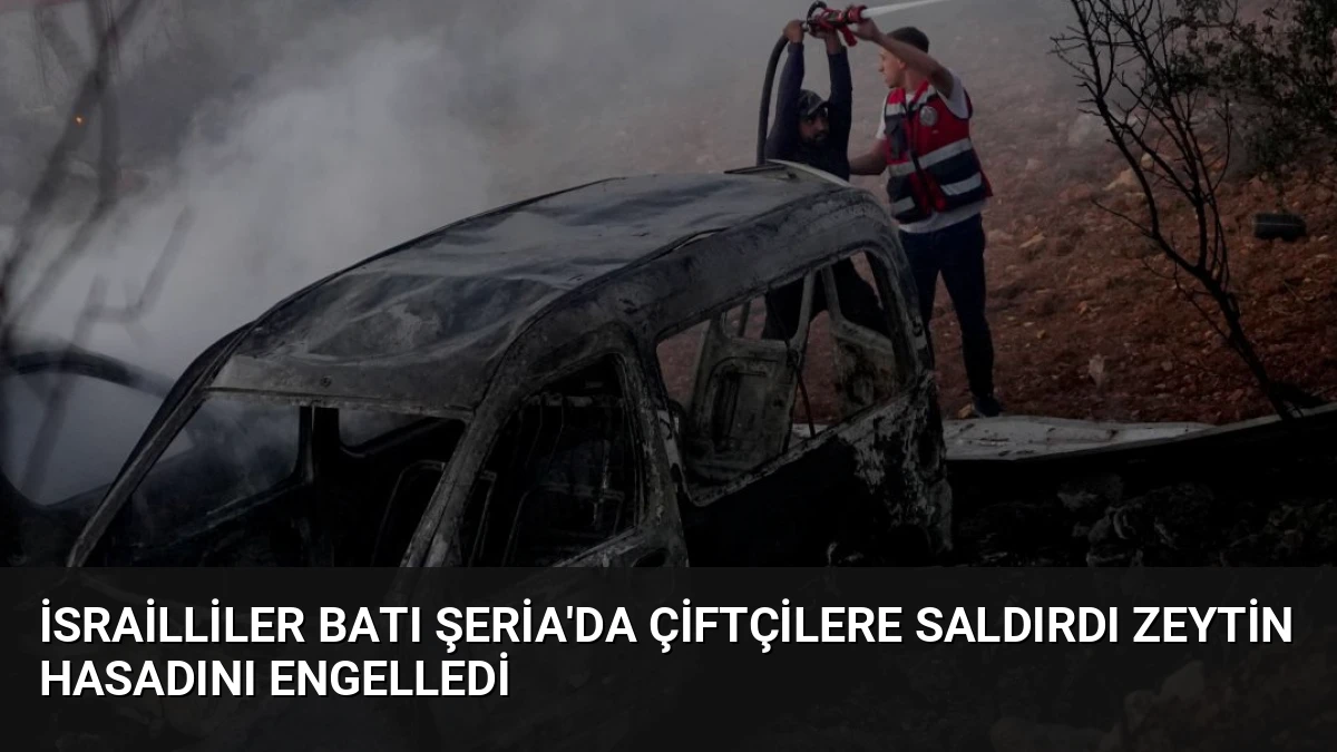 İsrailliler Batı Şeria’da Çiftçilere Saldırdı Zeytin Hasadını Engelledi