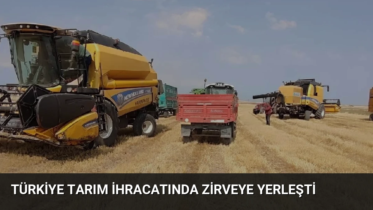 Türkiye Tarım İhracatında Zirveye Yerleşti